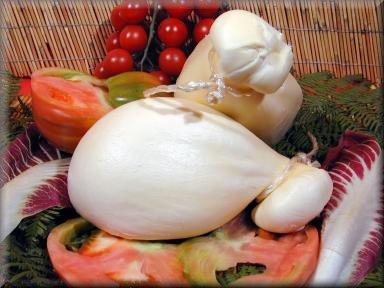 SCAMORZA